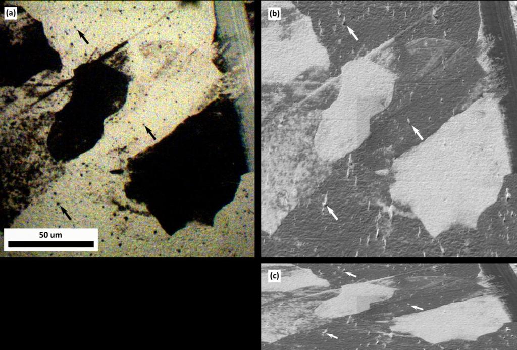 Figure 6-11 Comparison of optical and electron micrographs of surface morphology. (a) Higher magnification optical micrograph at r = 2 mm from the sample in Fig.