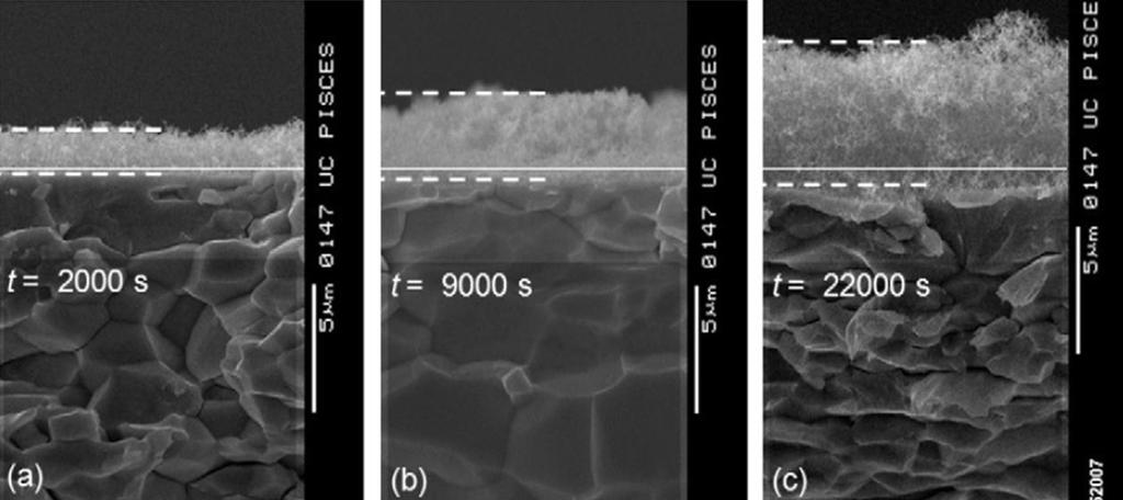 Figure 1-2 shows the cross-sectional view of W fuzz growth at different exposure times on samples exposed in the linear plasma device PISCES of the University of California in San Diego [27].