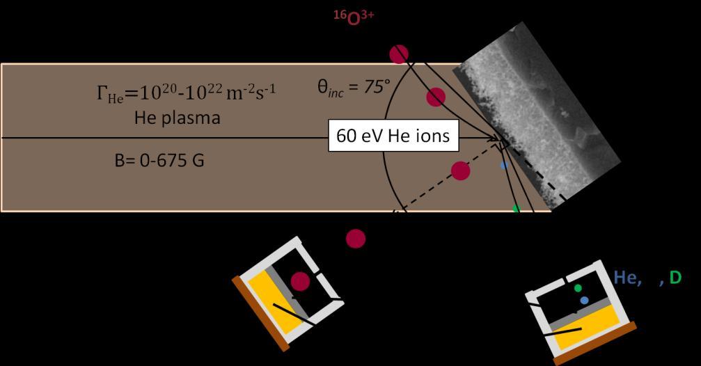 3.3.3 Simultaneous ERD and RBS setup Figure 3-3 shows a top-down schematic of the measurement set up in the plasma chamber of DIONISOS.