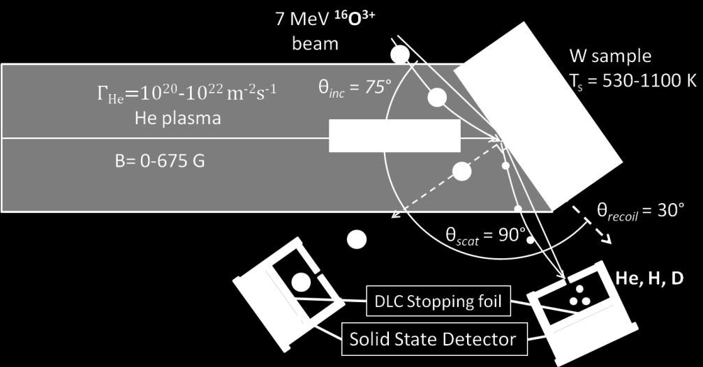This section provides the details of the measurement set up. A 7 MeV oxygen-16 ( 16 O) ion beam was directed at an angle of 75 degrees normal to the surface of the samples.