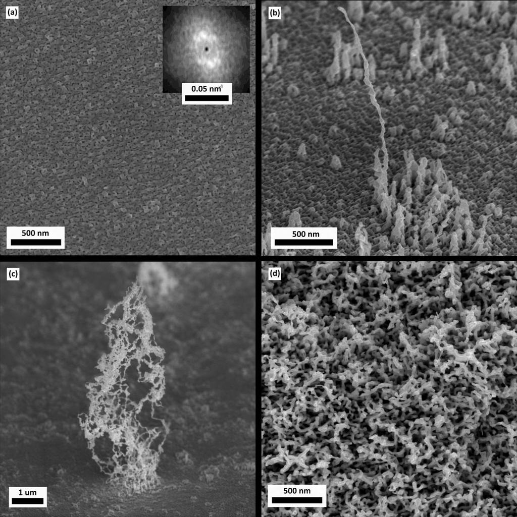Figure 6-1 SEM images of varieties of nanostructures due to modulation of helium bombardment energy on polycrystalline tungsten at different surface temperatures.