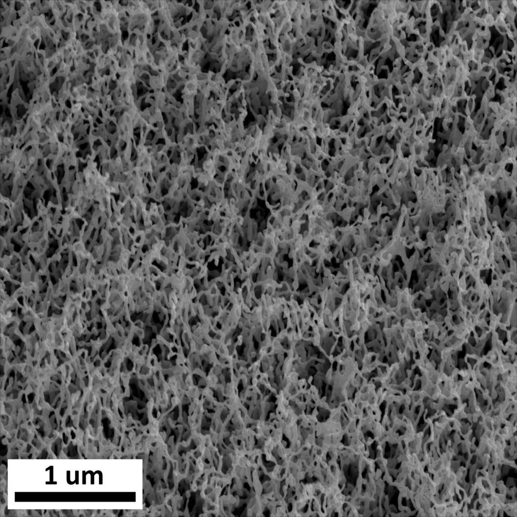 Figure 6-6 Tungsten fuzz Scanning electron micrograph of W fuzz grown on a sample at 1020 K in the inductive mode plasma with a DC bias of -50 V for a He fluence of 5.8 x 10 25 m -2.