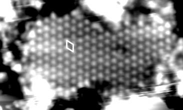 6542 J. Phys. Chem. C, Vol. 112, No. 16, 2008 Russell and Castell Figure 6. STM image of the TiO nanophase. The white rhombus shows a unit cell represented on the surface.