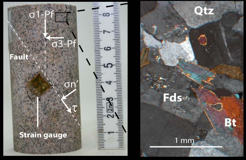 Methods - Experiments Stick-Slip experiments under Triaxial stress conditions σ 1 > σ 2 = σ 3 A B Samples: 30 Saw cut westerly granite cylinders