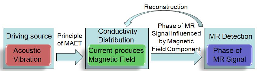 Aiming at the defects of the existing technologies, this paper combined the technologies of MRI and MAET for mutual advantages, and proposed a new method of Magnetic Resonance Motional-Electrical