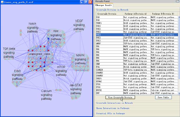 6. Viewing selected pathways and crosstalk elements in Cytoscape The users can focus on certain crosstalk elements in Cytoscape. Fig. 7. Focus on a certain crosstalk protein. Fig. 8.