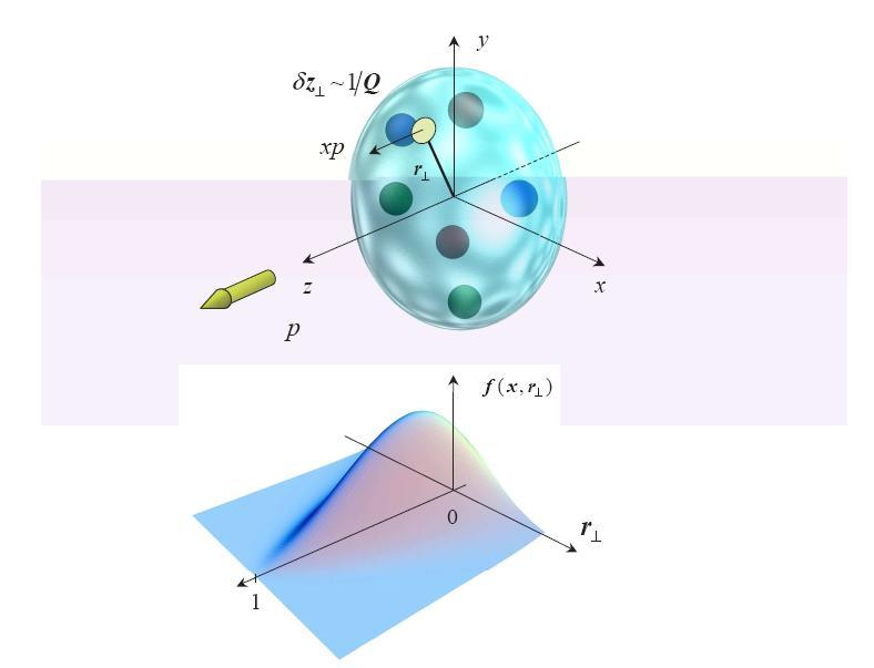reactions] Transverse spatial distribution of quarks with
