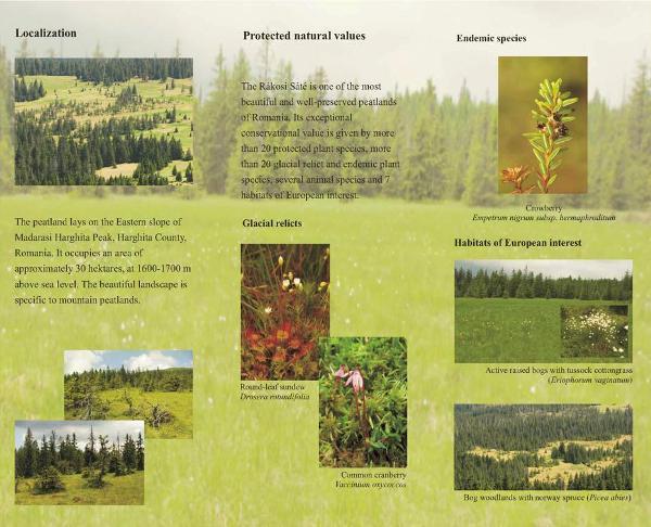 Please find the webpage of the nature reserve at: www.szokolap.green-agora.ro Please find our interviews on the webpage of the local newspapers: - www.uh.ro (issue from 23.07.