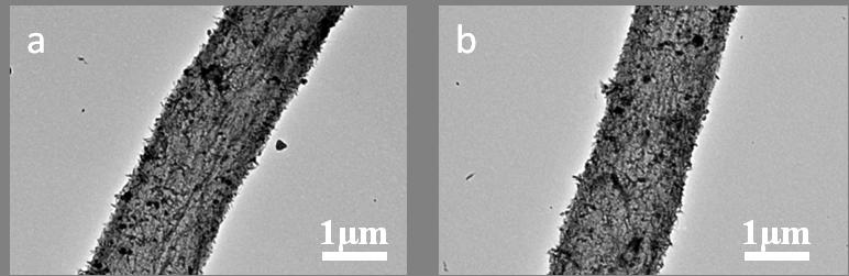 The FTIR spectroscopy of pure black aspergillus without adhered titanate nanotubes. TEM images of composites before and after an hour ultrasonic process As shown in Fig.