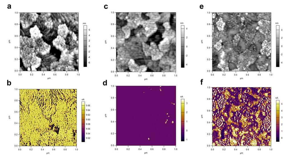 Fig. S6 2-D atomic force microscopy (AFM) images, image scale: 1 μm 1 μm. a) Surface morphology of Glass/ITO. b) Current mapping of Glass/ITO. c) Surface morphology of Glass/ITO/PMMA.