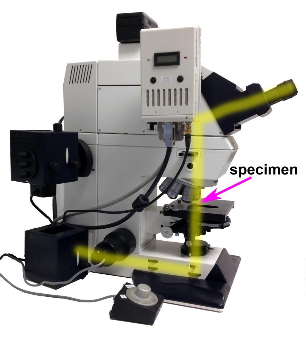 Microscopy (conventional) compound light