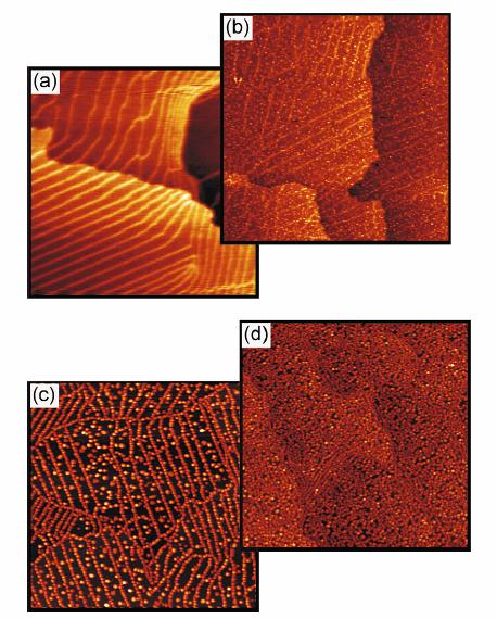 WELL-DEFINED SUPPORTED METAL PARTICLES Rh clusters on Al 2 O 3 Metal deposited from vapor on Al 2 O 3 ultra-thin films grown on a metal in UHV: allows use of Scanning Tunneling Microscopy (STM).