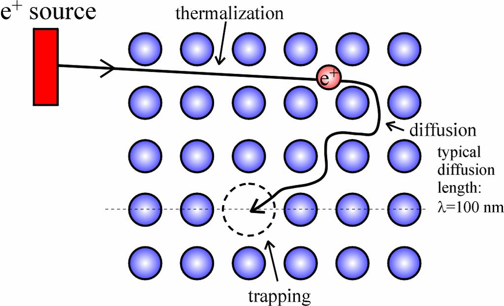 Principles of PALS γ γ positrons: thermalize (reach thermal energies) diffuse being trapped and