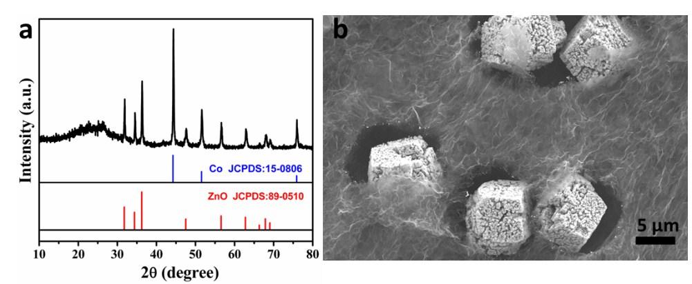 Fig. S10 (a) XRD pattern and (b) FESEM image of the calcination product of ZnCo-containing precursor/gf at 600 ºC.