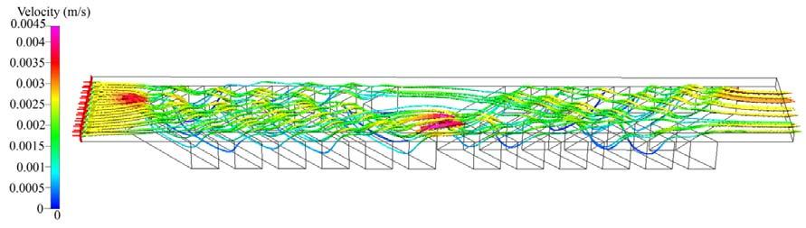 Newtonian buffers. A demonstration of the flow profile and velocity field produced by the computational fluid dynamics software ESI-CFD-ACE (Version 2010.