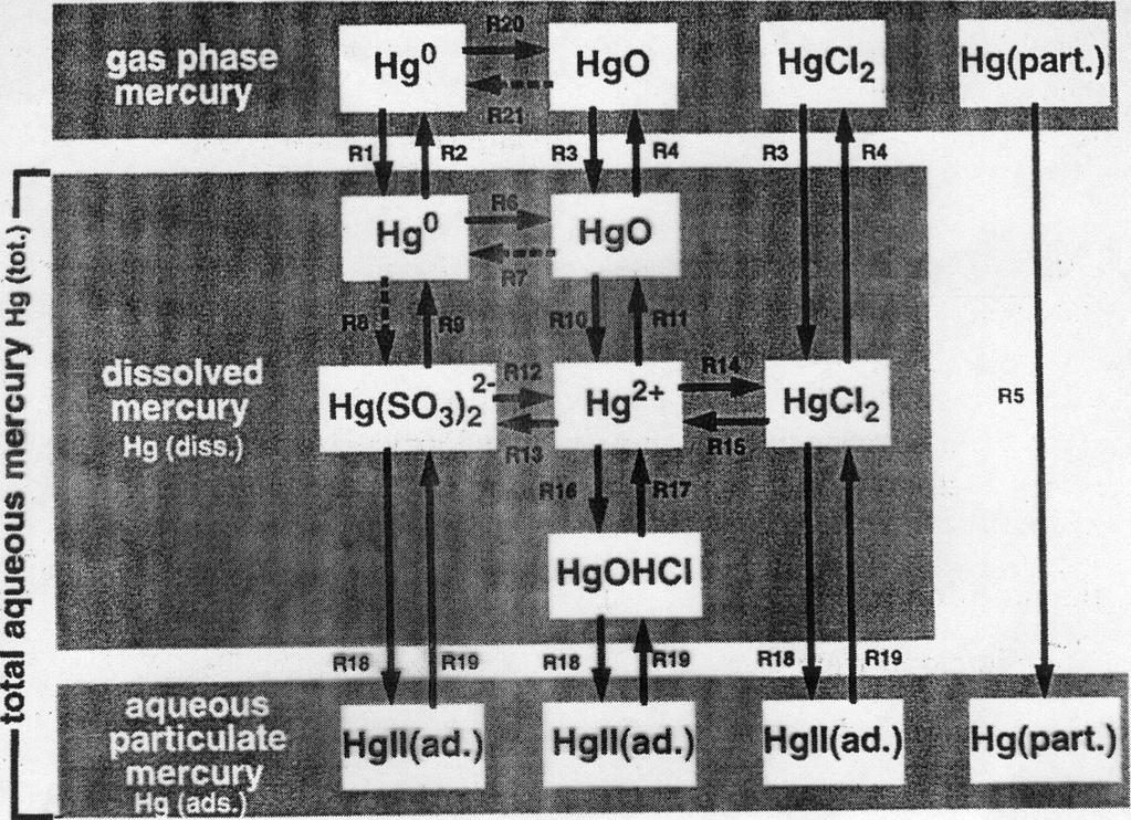 Mercury version of DEHM Mercury model with GKSS chemistry Gas phase pollutants: Hg 0, HgO, HgCl 2 and particulate Hg 9 aqueous phase pollutants Chemistry depending on O 3, SO 2, Cl - and Soot During