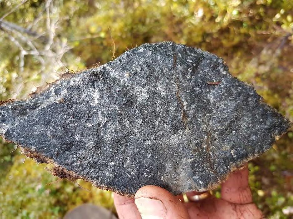 A metamorphosed iron formation, now a grunerite-chloritesiderite schist