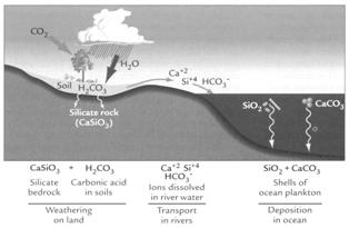 What happened to CO 2? Carbon Inventory (from Earth s Climate: Past and Future) Chemical weather is the primary process to remove CO2 from the atmosphere.