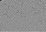 Experimental Monodisperse-sized polystyrene particles (640 and 270 nm in diameter) were purchased from Microparticles GmbH Berlin, Germany.