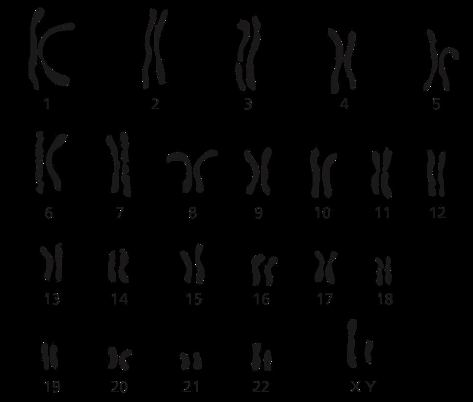 section of the figure. 13.