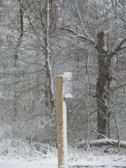 How To Measure Snowfall -Snowfall measuring is typically more difficult and takes a little more time than rainfall.