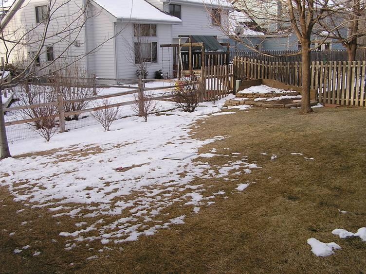 Frequently Asked Questions - Snow only covers part of my yard. What do I report as my total snow depth? - You will want to take the average of the bare and covered areas.