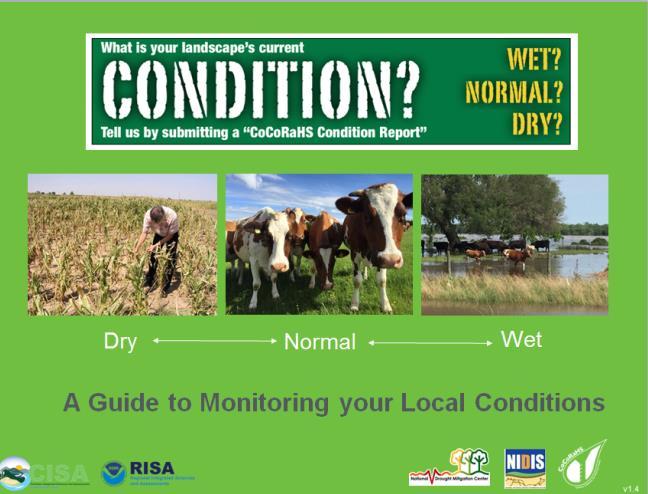 Condition Monitoring Report Click here to access the condition monitoring