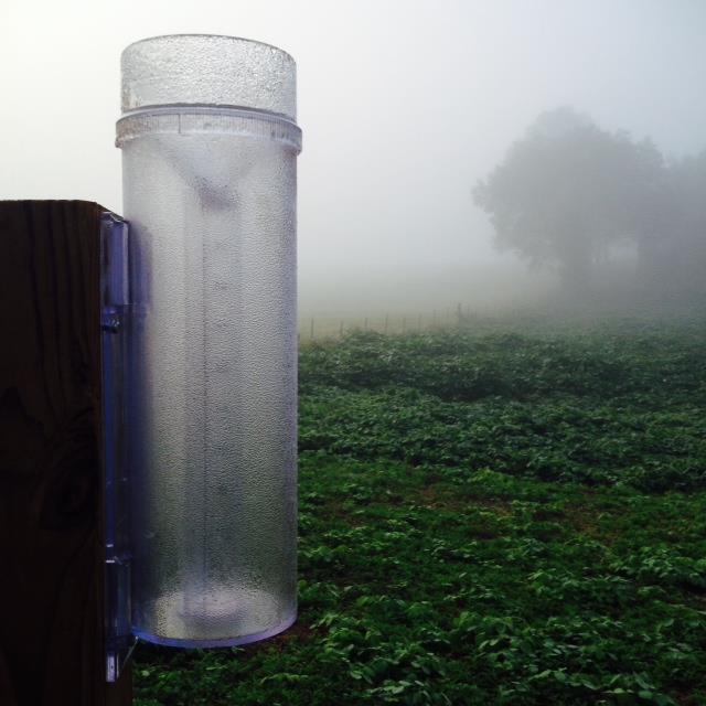 Frequently Asked Questions - Do I report morning dew that has collected in my gauge as