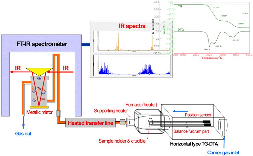 carrier gas are introduced, without being split, into the gas cell in the FTIR through the TGA-IR attachment (maximum 300 C), which is directly connected to the furnace. Fig. 2.