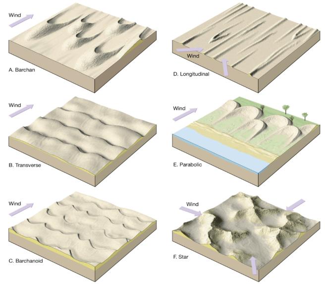 c. Types of sand dunes 1. Barchan dunes 2.