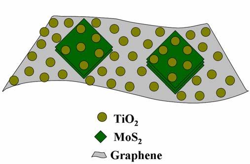 Figure S2. Schematic illustration of the microstructure of the T/95M5.0G sample.