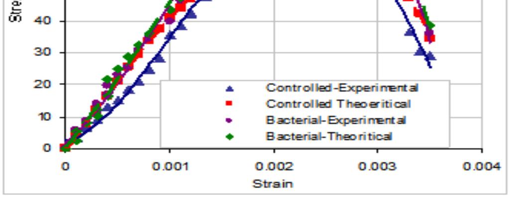 Analytical Mdel fr Predicting Stress- Behaviur f Bacterial Cncrete Figure Graph shwing Experimental and Theretical stress strain values f cntrlled and bacterial cncrete