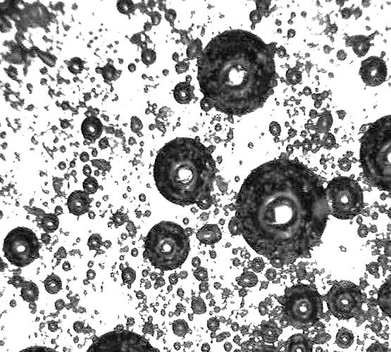 21 Bubbles nucleated by suddenly lowering the pressure