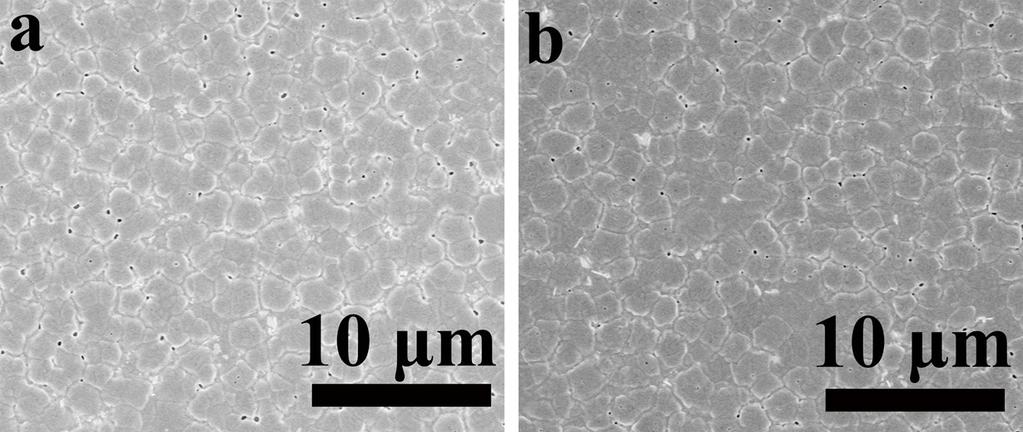 Fig. S1 SEM images (scan size = 20 μm 20 μm)of perovskite films with