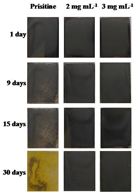 Fig. S10 Images of various perovskite films