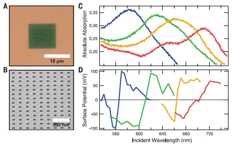 Plasmo-electric effect in metal nanostructures