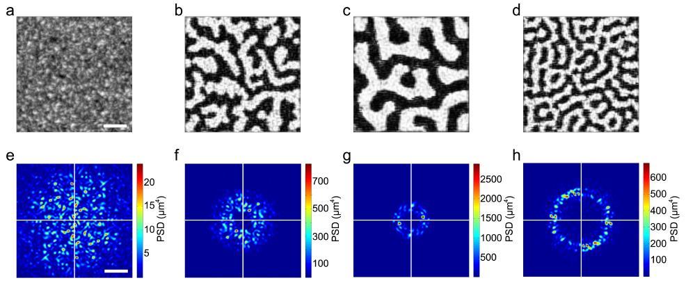 Optimizing spatial frequency of scattering pattern