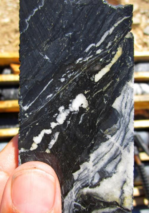 Photo of core from ALFP003 at 1203.0m A strongly sheared and deformed black shale with intense quartz veining and 2-3% finegrained disseminated chalcopyrite within the shales.
