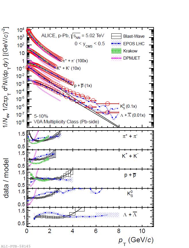 Blast wave fits to the spectra V0A Multiplicity Class: 5-% he p spectra in high multiplicity pp and p-pb collisions show a clear evolution with multiplicity this effect is well known from heavy ion