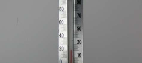 Show students how to read their thermometer correctly: Look at the diagram of the thermometer on their Observation Sheet.