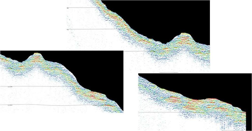 Data processing (2): sub-bottom-echograms 13 Data processing (3): geodetic datum transformation To compare the results of the bathymetry of 2013 with those from previous