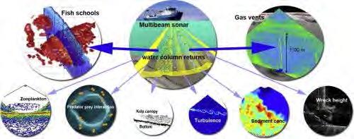 Introduction: Multibeam sonar and water column Water
