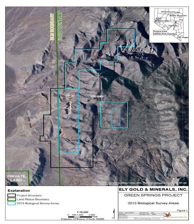 GREEN SPRINGS PERMITTING Enviroscientists Inc 75+ Acres studied Plan of Operations submitted to USFS (November 2013) Initial drill targets defined Biological