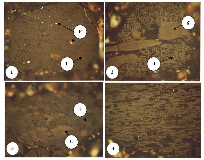 Figure 3. Microphotographs of coal polished section. 1. Details of fine-grained syngenetic pyrite distribute in telovitrinite groundmass, 2.