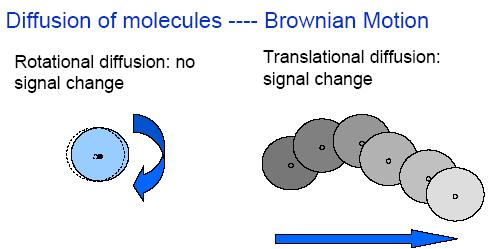 Brownian motion is a phenomenon that is fundamental to this experiment.