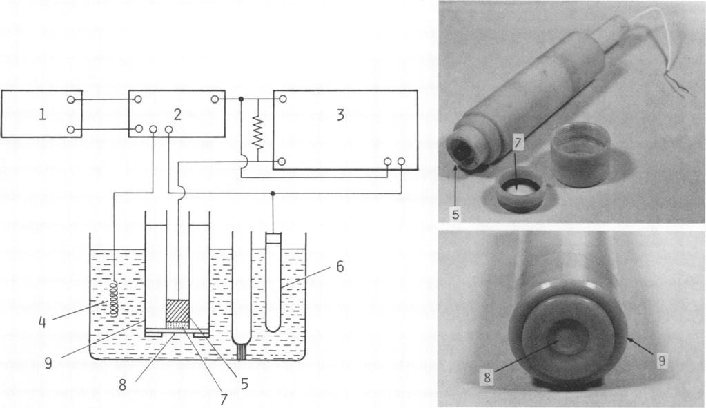 VOL. 5, 1985 ELECTROCHEMICAL CLASSIFICATION OF BACTERIA 239 FIG. 1. (Left) A schematic diagram of the electrode system for detecting microbial cells.