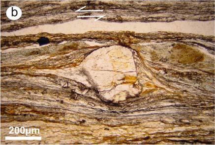 Moreover, during petrographic investigations, a retrograde metamorphic overprint developed during the shearing event, both in metapelite and leucogneiss, has been detected. Fig.