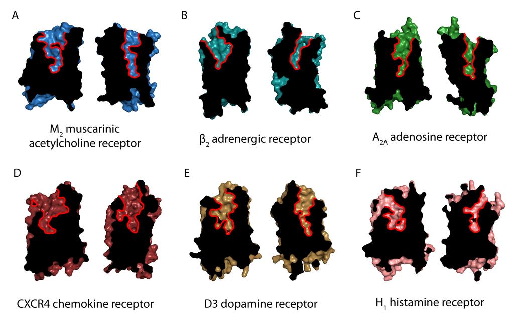 UPPEER ORO REERCH upplementary igure 4. queous channels in structures of protein coupled receptors. Each receptor is colored differently for clarity.