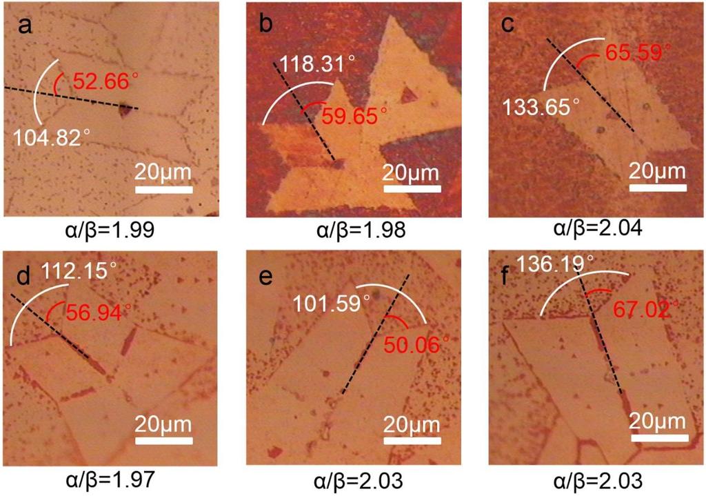 Figure S12 Optical microscopy images to measure the domain angle (α, white)