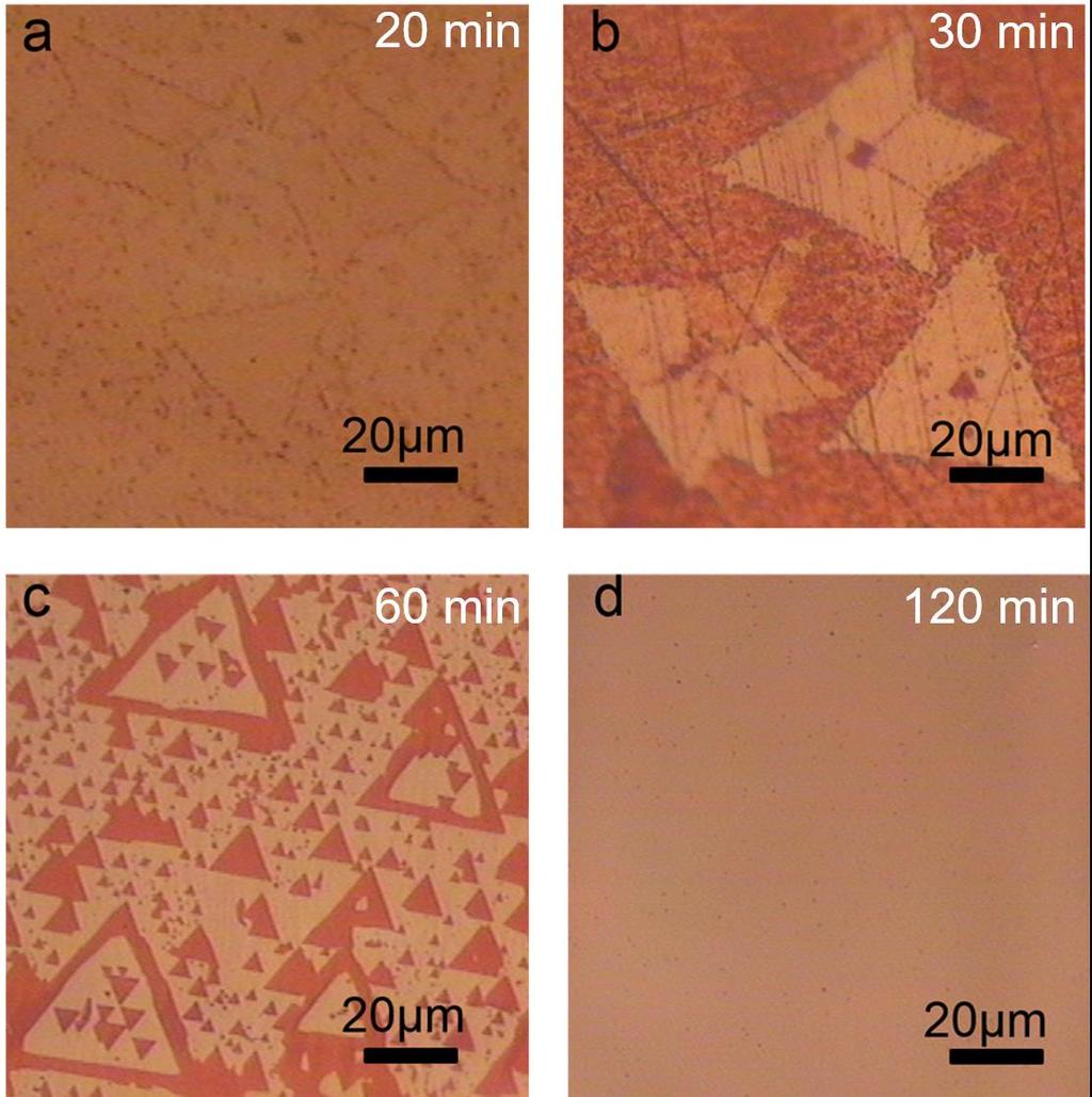Figure S3 Effect of growth time on the PECVD-grown monolayer h-bn.